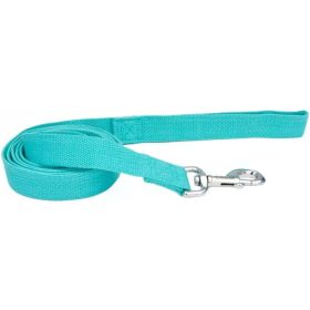 Coastal Pet New Earth Soy Dog Lead Mint Green - 6 feet x 5/8"W